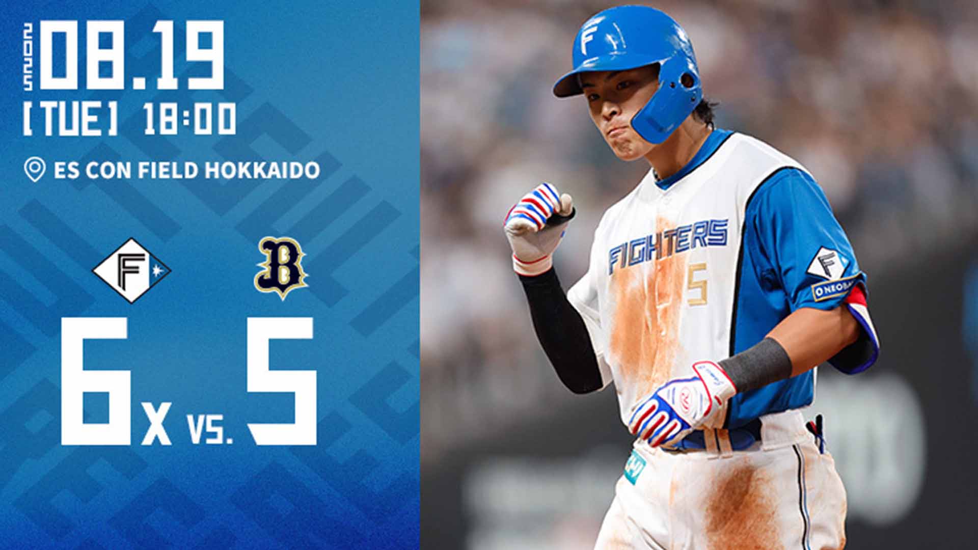 【2025.8.19】HIGHLIGHTS