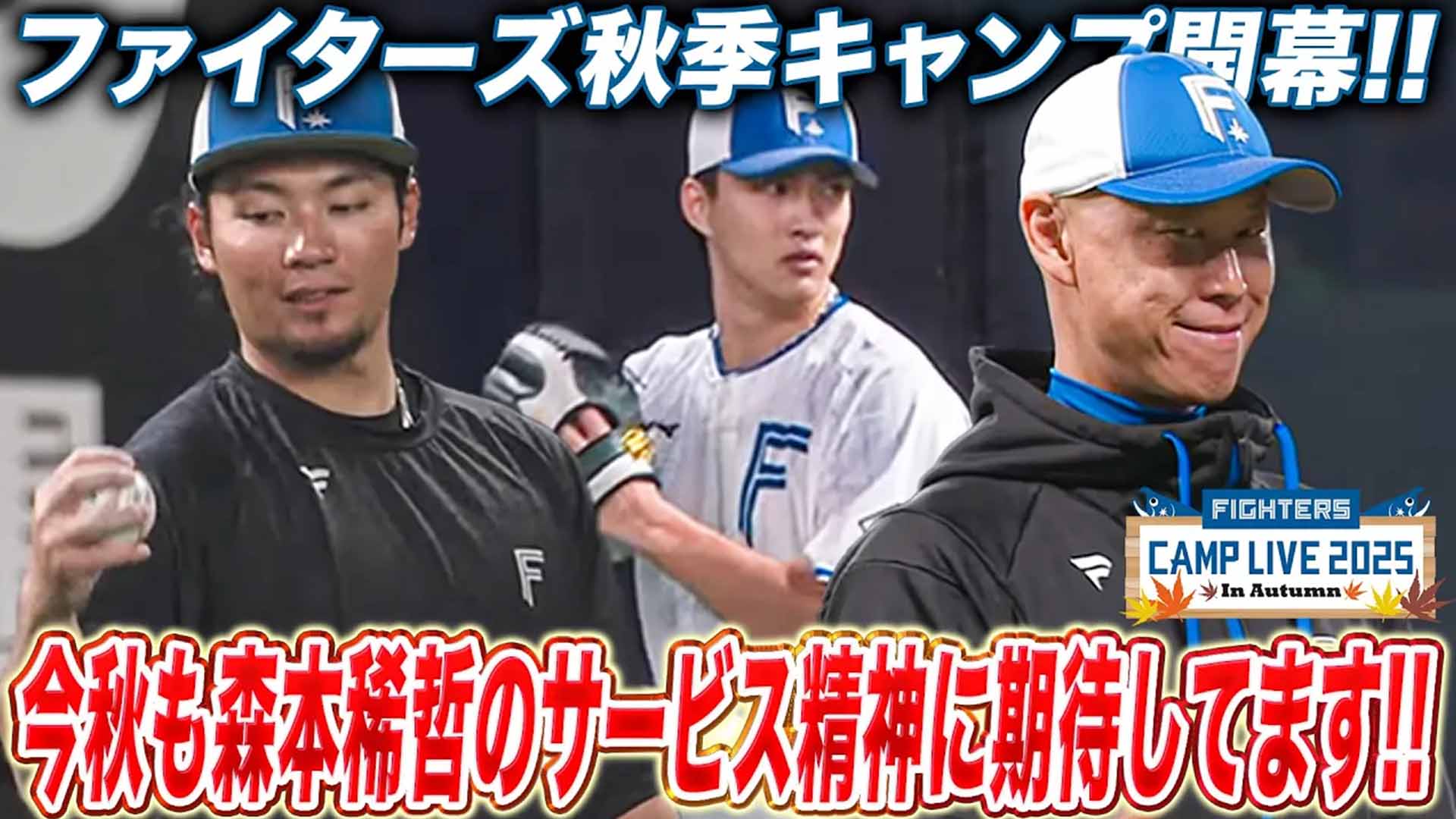 【秋季キャンプ】伊藤大海&達孝太ら先発陣が秋季キャンプ参加