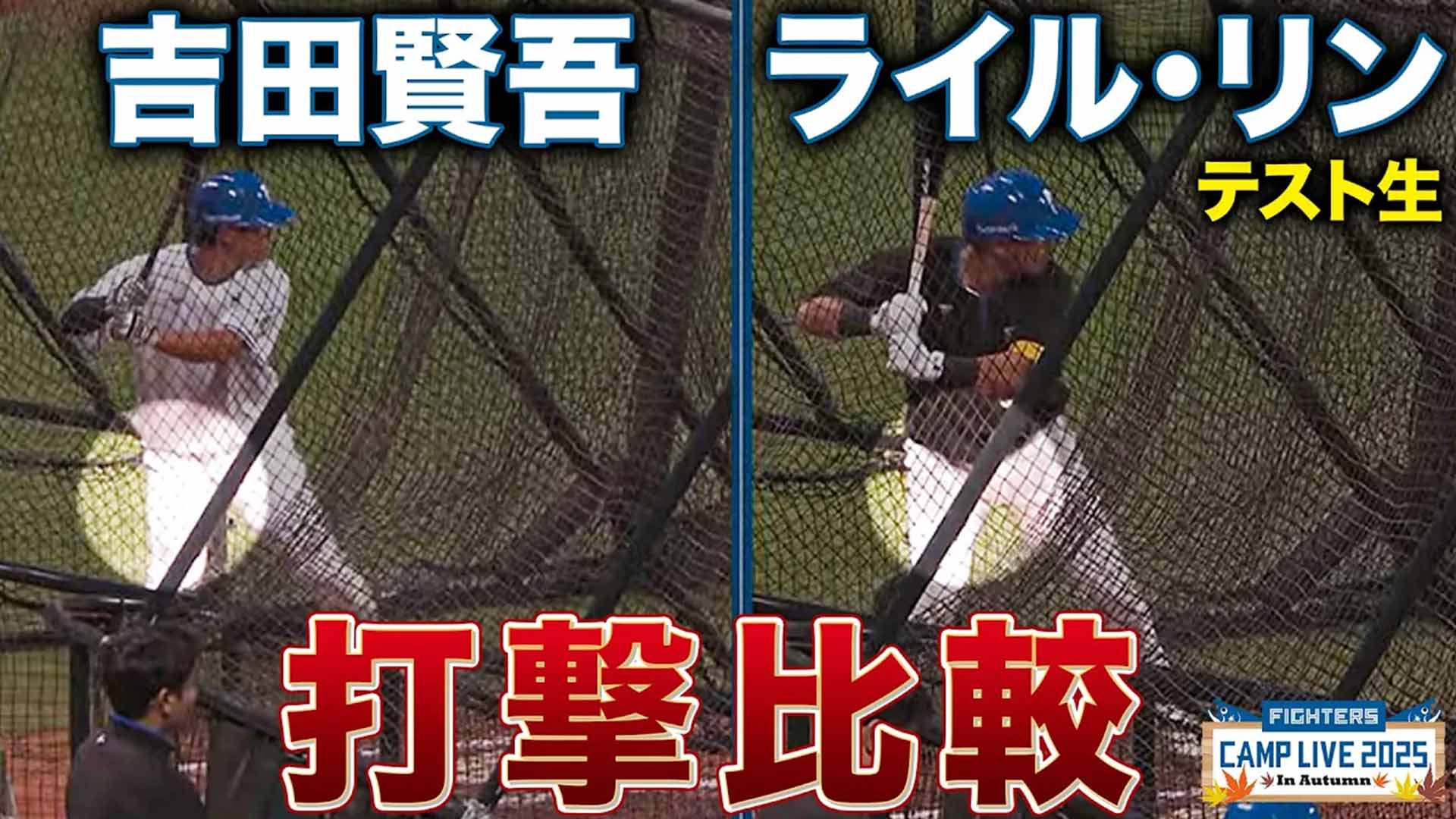 【秋季キャンプ】吉田賢吾&ライル・リン スイング比較