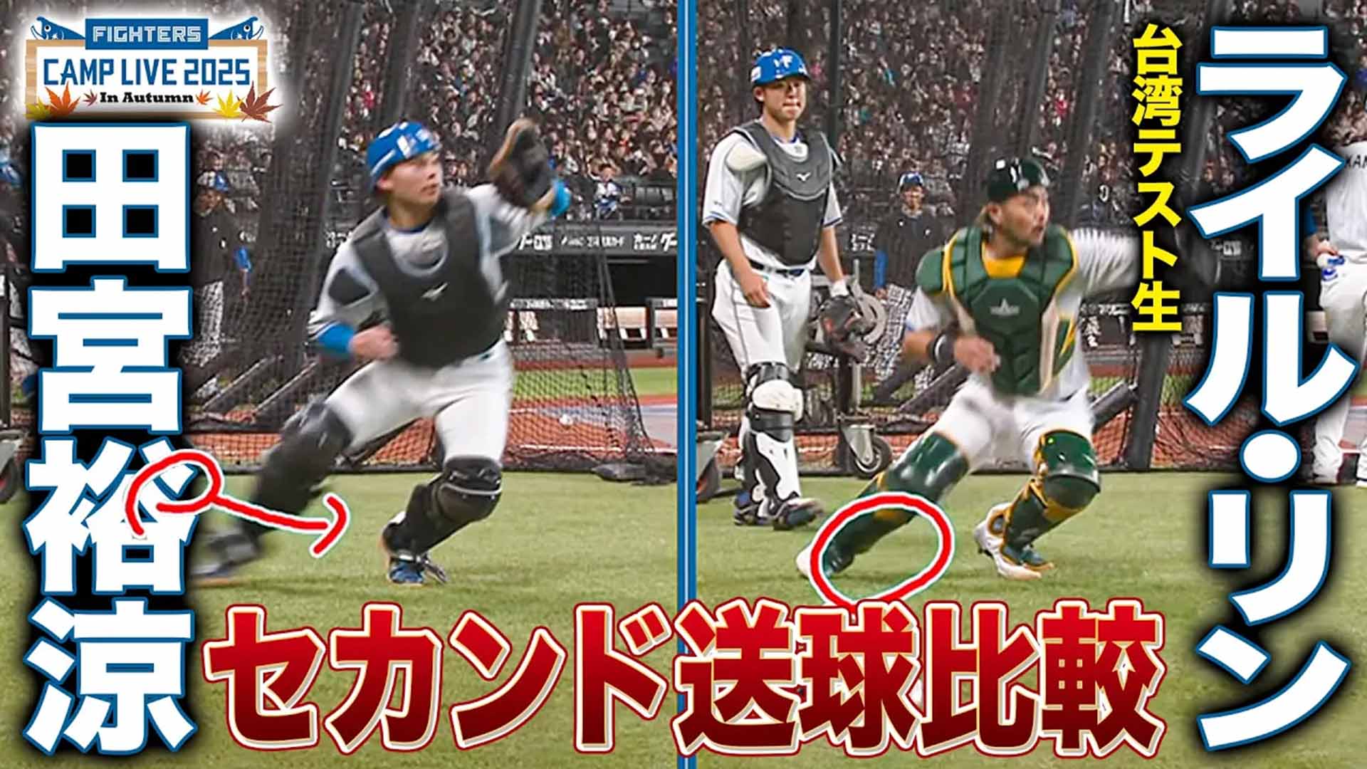 【秋季キャンプ】田宮裕涼＆ライル・リン＆進藤勇也 捕手比較