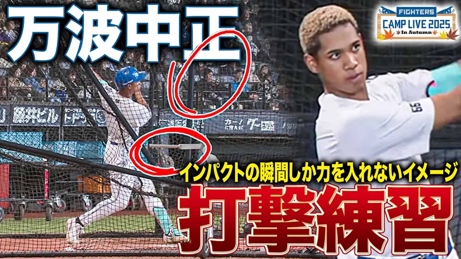 【秋季キャンプ】万波中正のスイングの進化を解説！