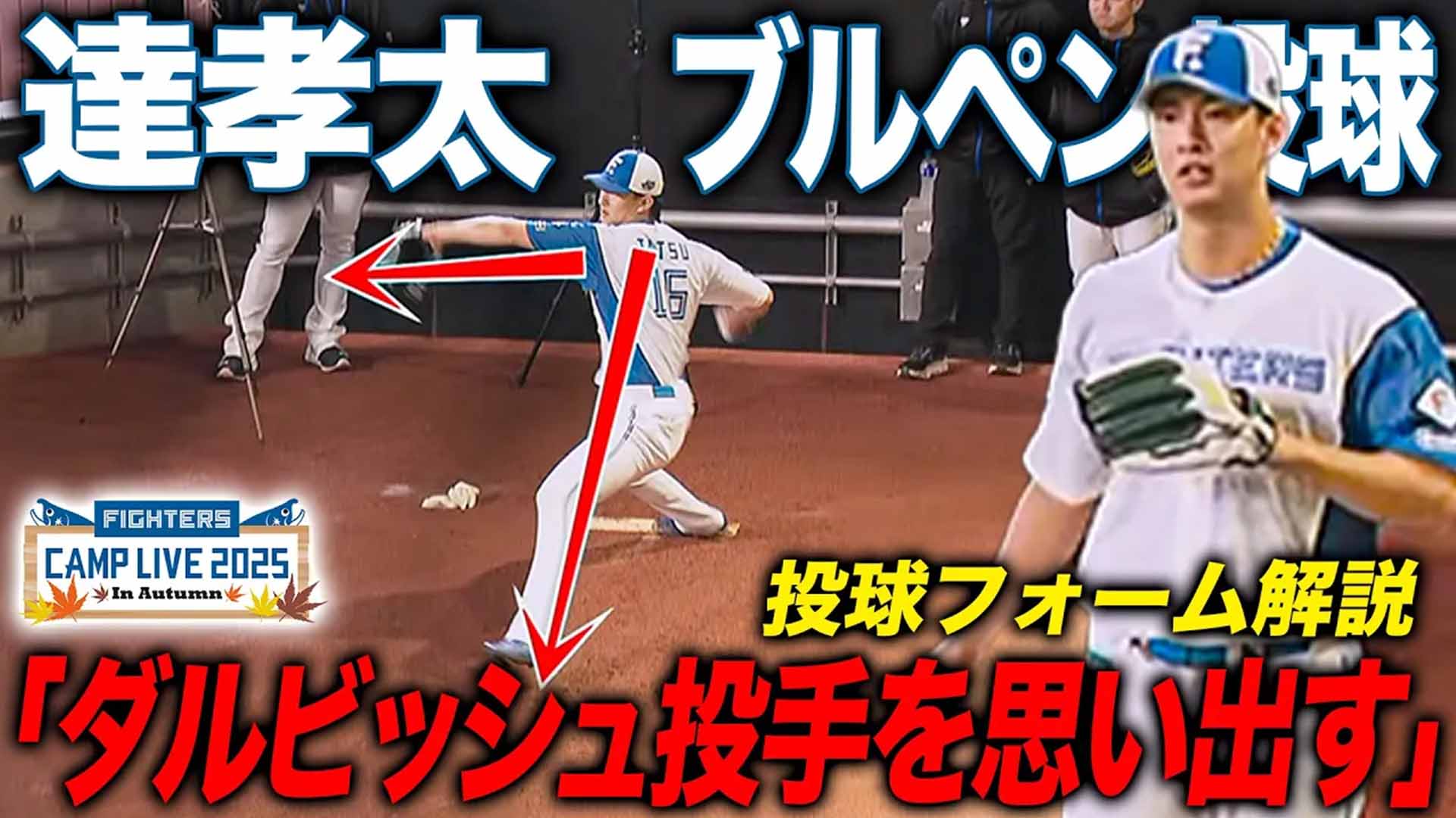 【秋季キャンプ】達孝太のブルペン投球を絶賛！