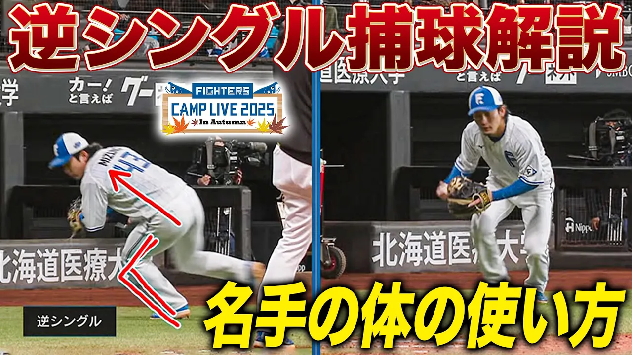 【秋季キャンプ】内野特守で正面＆逆シングル捕球の特訓！