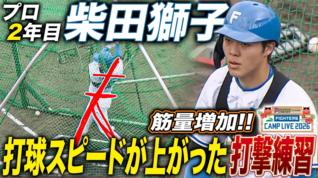 柴田獅子の打撃フォームをWBC日本代表金子誠ヘッドコーチ解説‼️