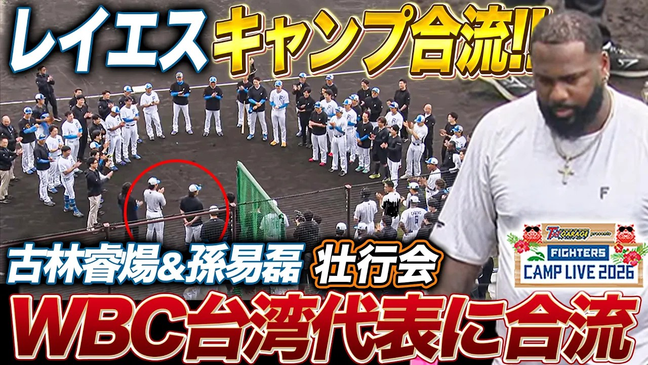 レイエスがファイターズキャンプ合流‼️古林睿煬_孫易磊はWBCキャンプへ旅立ち