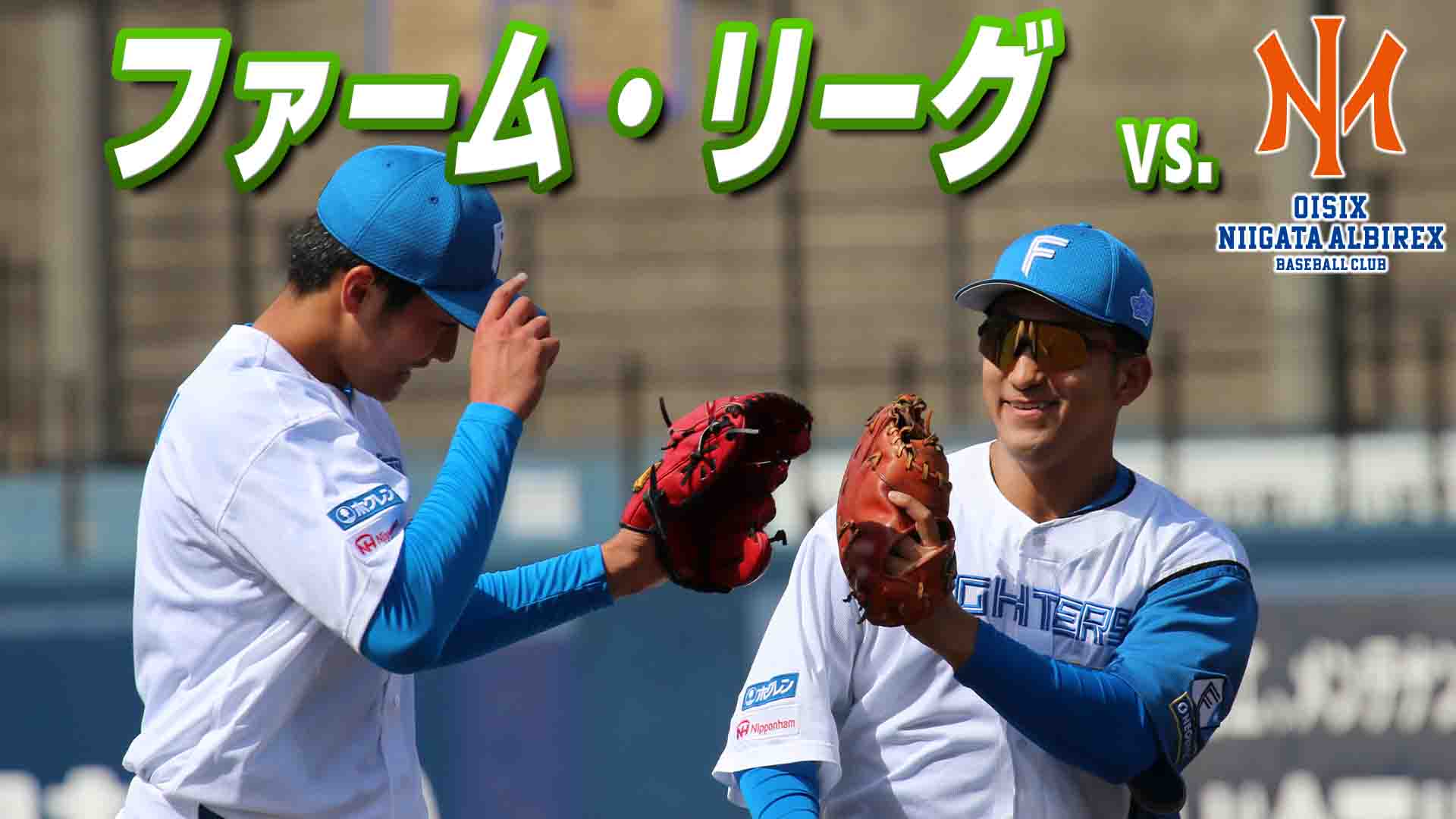 ファーム vs新潟 3月17日 (火) 12:45～