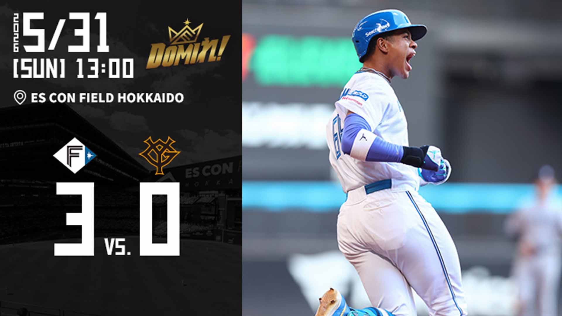 【2026.5.31】HIGHLIGHTS