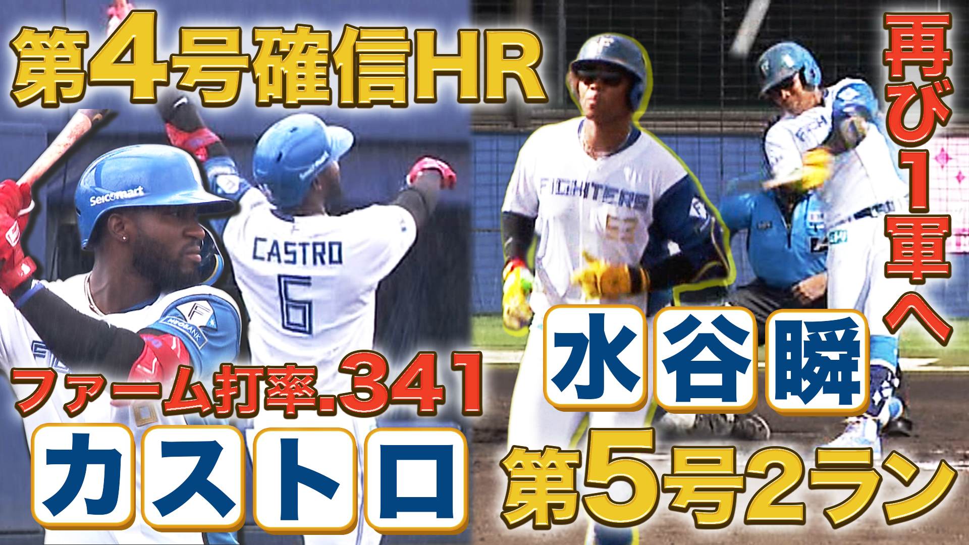 8月6日　FL交流戦 ハヤテベンチャーズ静岡戦 ハイライト