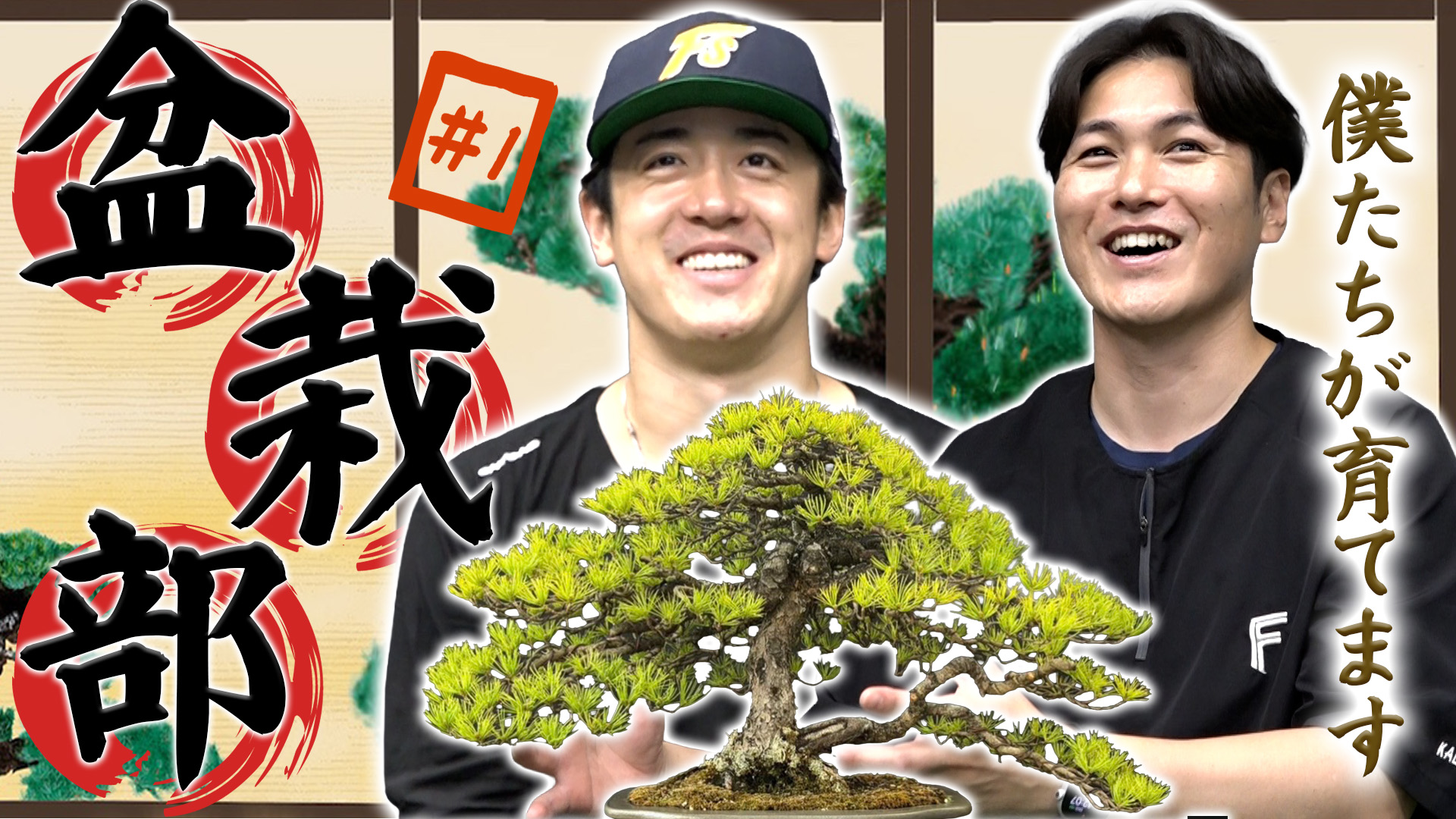 盆栽部 #1