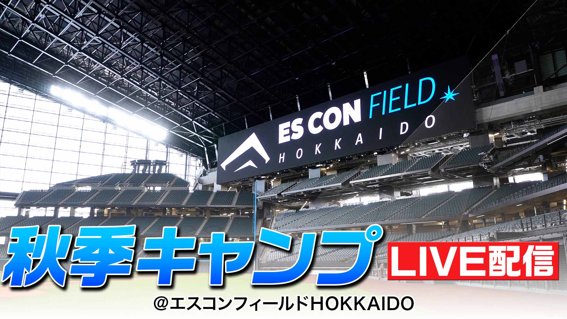 秋季キャンプ 11月2日(月) 10:00～
